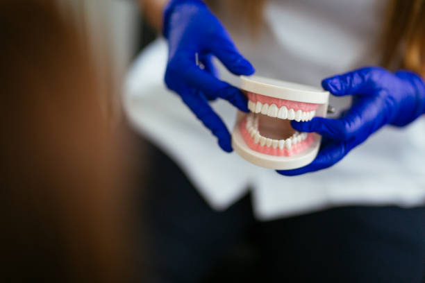 Best Dental Fillings (Composite and Amalgam)  in Prospect Heights, IL